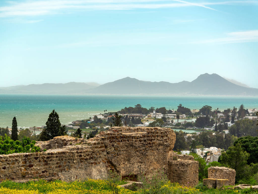 Il Cuore del Mediterraneo Batte a Cartagine