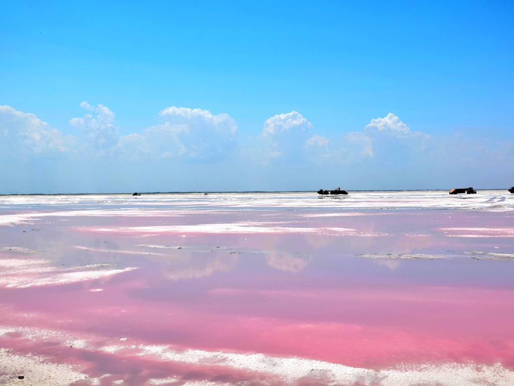 Messico: il miraggio rosa dove la natura custodisce i suoi misteri più puri