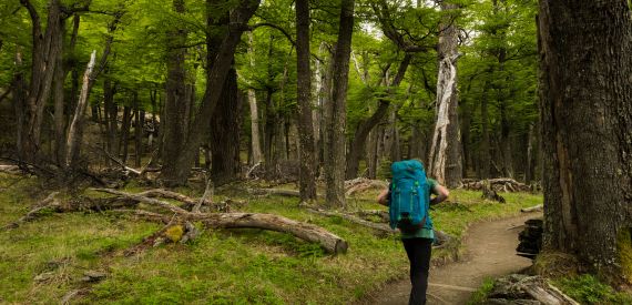 Iguazù - Passeggiata Ecologica